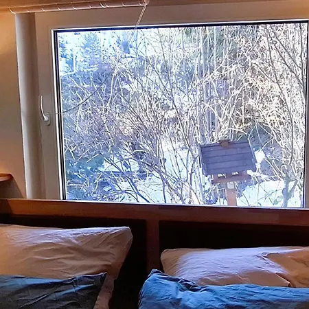 Forest 7 Apartment Schoenwald im Schwarzwald