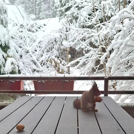 Forest 7 Apartment Schoenwald im Schwarzwald