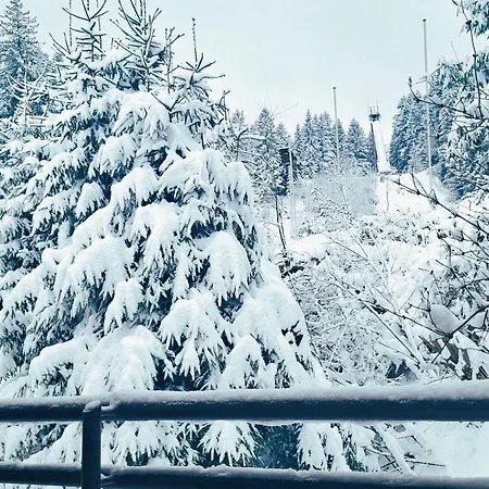 Forest 7 Апартаменты Шёнвальд