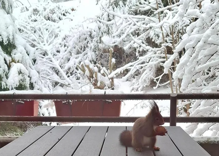 Forest 7 Lägenhet Schönwalde