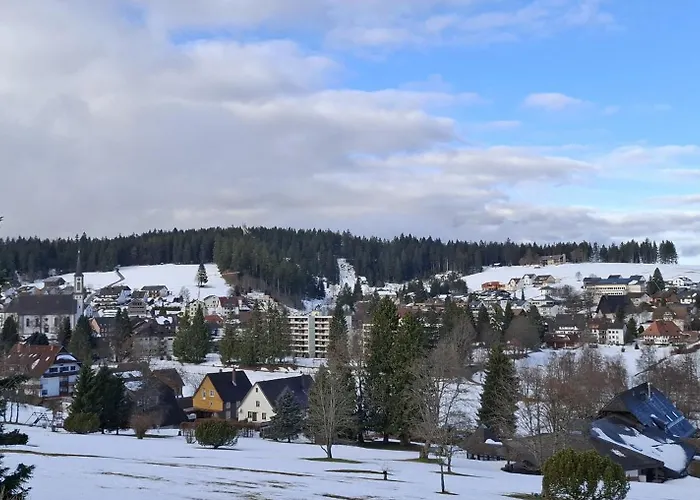 Lägenhet Forest 7 *